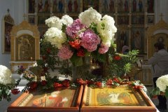 img_20260728_185543_909