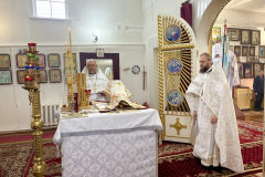 image-29-05-25-09-51-5